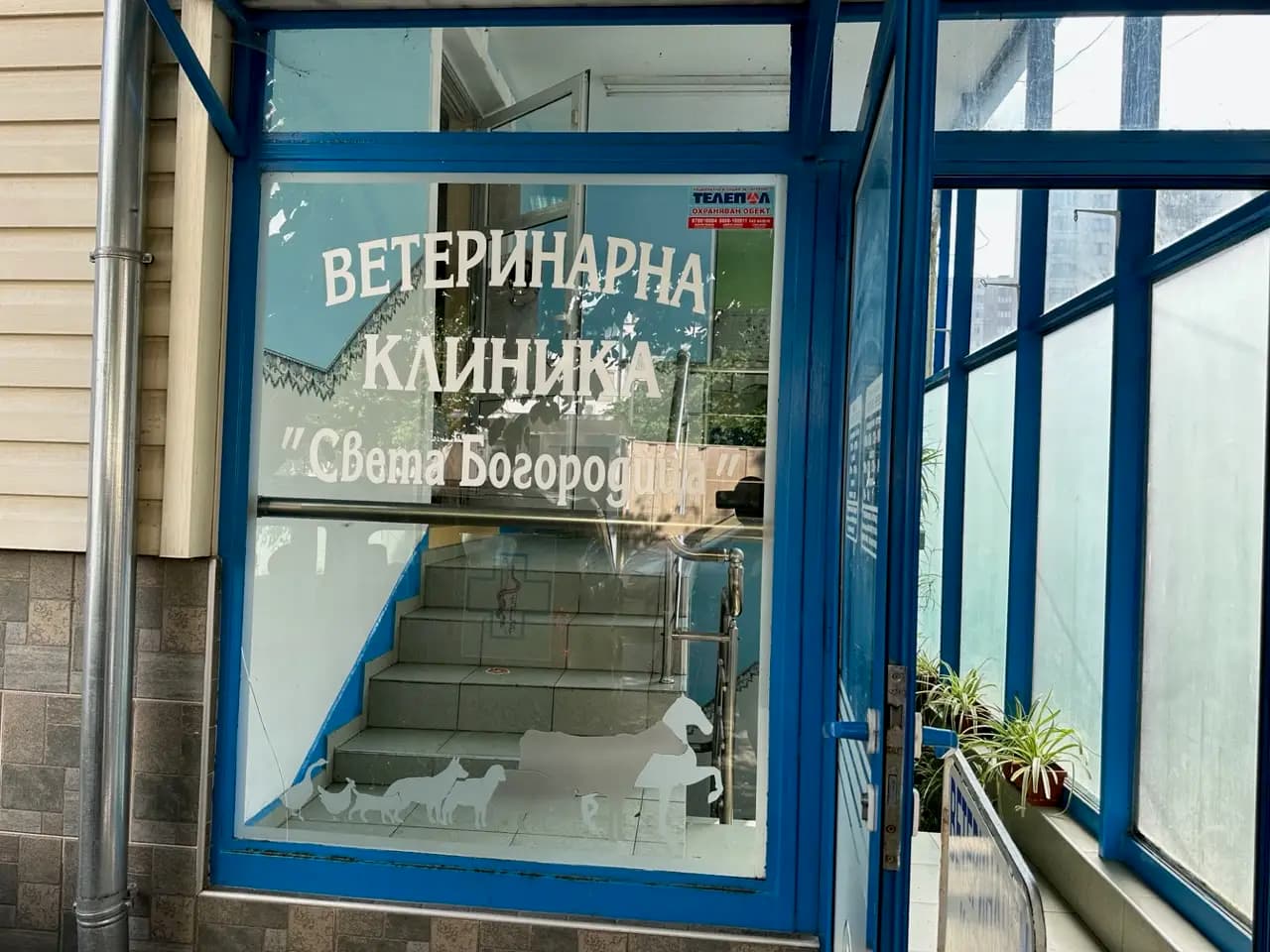ВЕТЕРИНАРНА КЛИНИКА “Света Богородица”