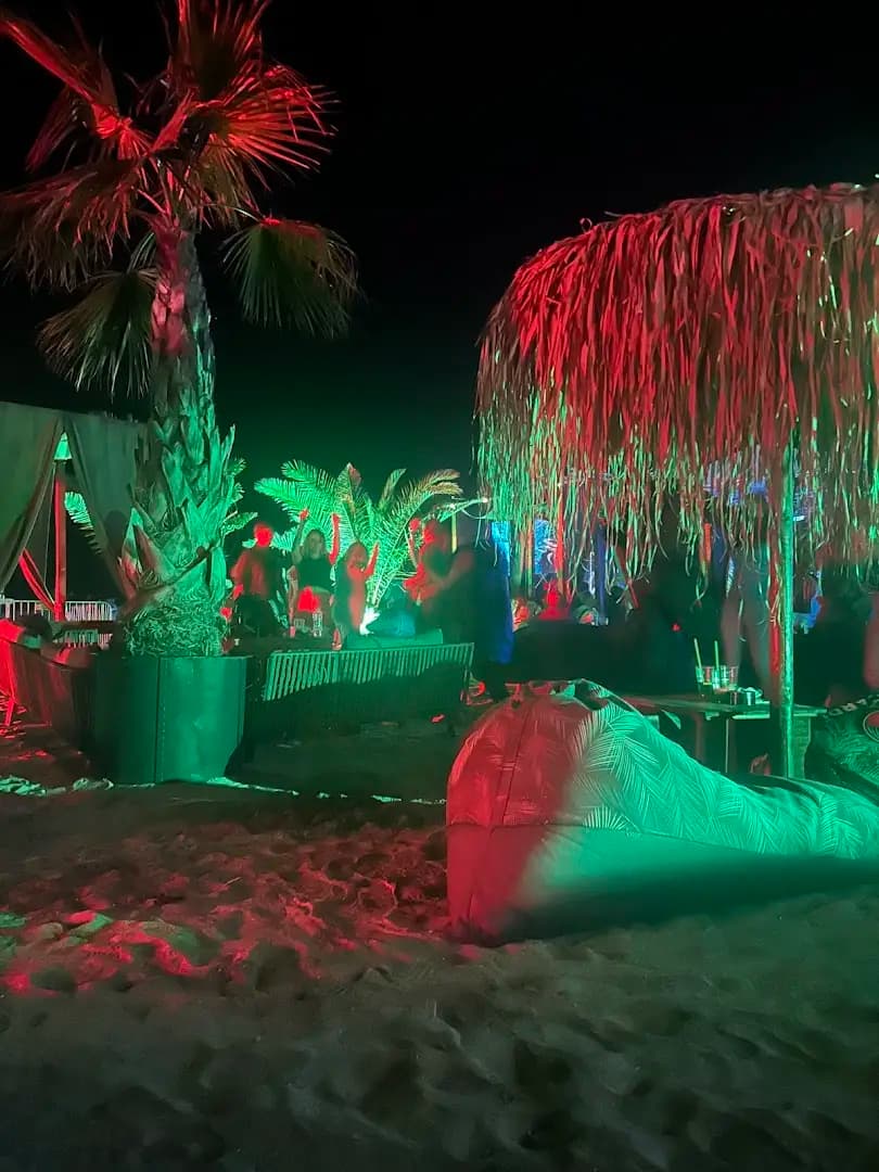 Beach bar & Food Palmsbeach