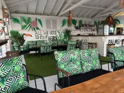 Beach bar & Food Palmsbeach