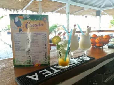Beach bar & Food Palmsbeach