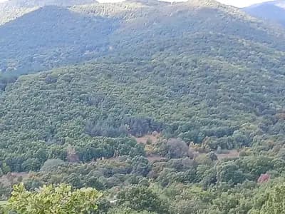 Тракийски култов комплекс Старосел