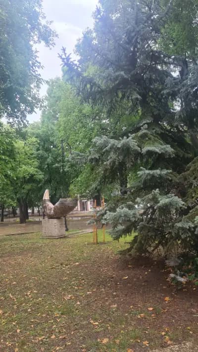 БЧК - Варна