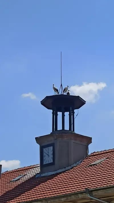 Народно читалище „Никола Вапцаров – 1909“