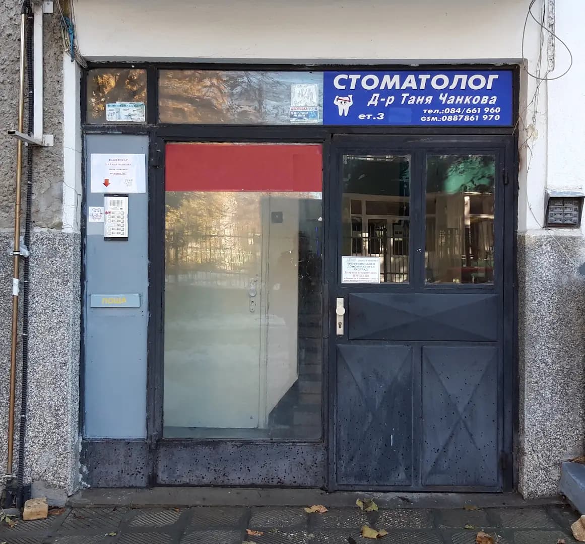 Д-р Таня Чанкова