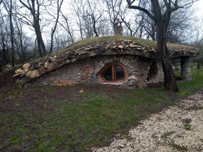 Психиатрична болница Карлуково