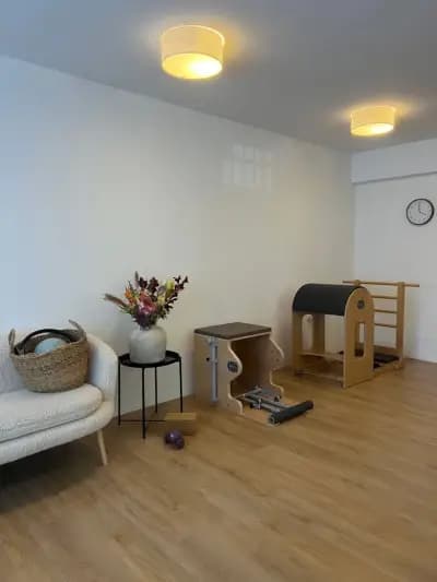 The Black Swan Pilates - Private Studio