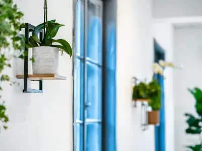 ZEN (the first full-circle wellness Studio)