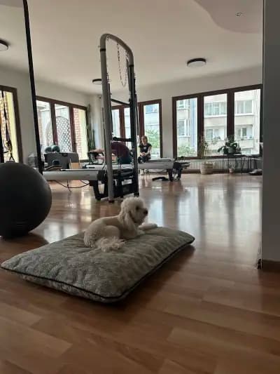 Social Studio - Pilates Reformer