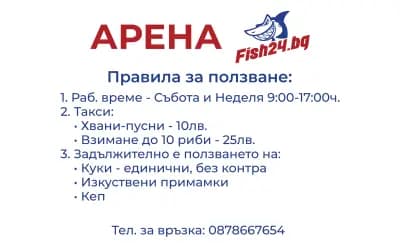 Arena Fish24
