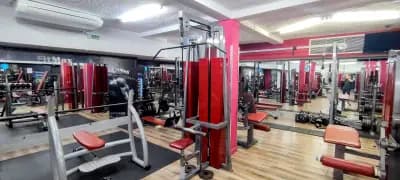 Фитнес "MuscleFit"