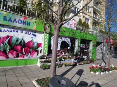 Цветен блус - Магазин за Цветя , Букети , Подаръци и Балони с Хелий.
