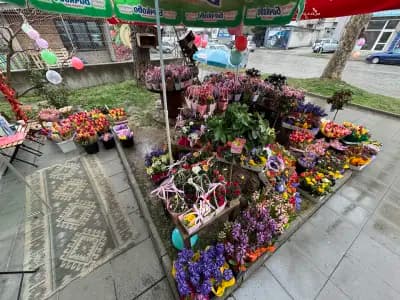 Магазин за цветя и сувенири