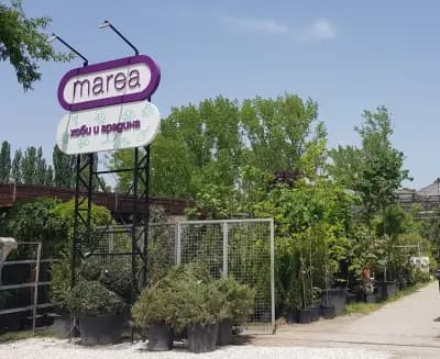 Градински център Мареа