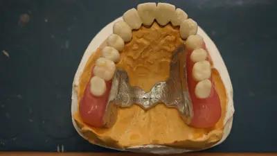dental style 5