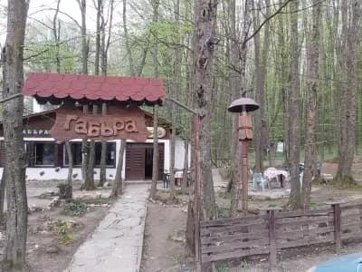 Ресторант Габъра