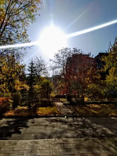 Държавен фонд „Земеделие“