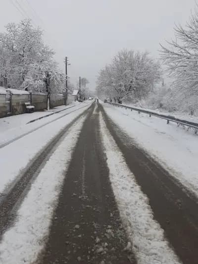 Кметство Калино