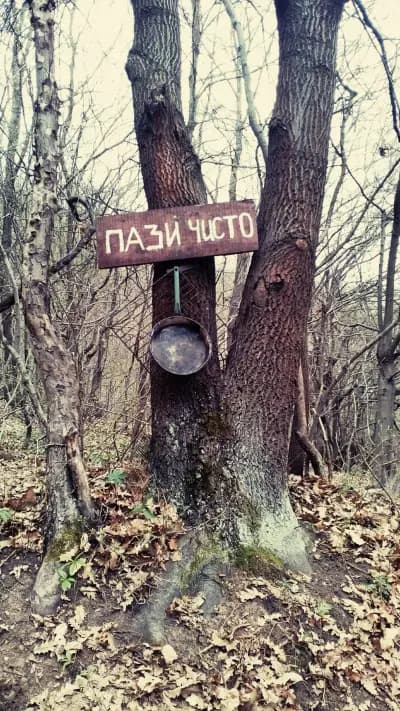 КМЕТСТВО МАКОЦЕВО
