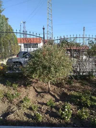 Мотел Пътна среща