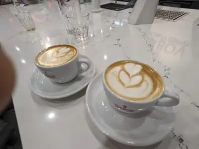 Dabov Specialty Coffee