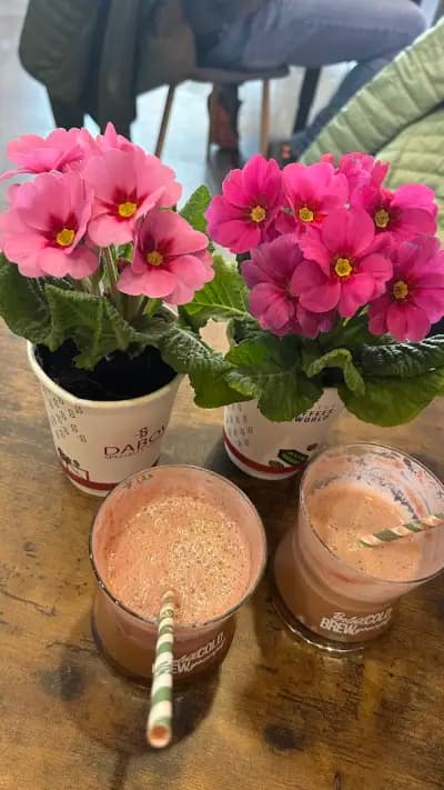 Dabov Specialty Coffee