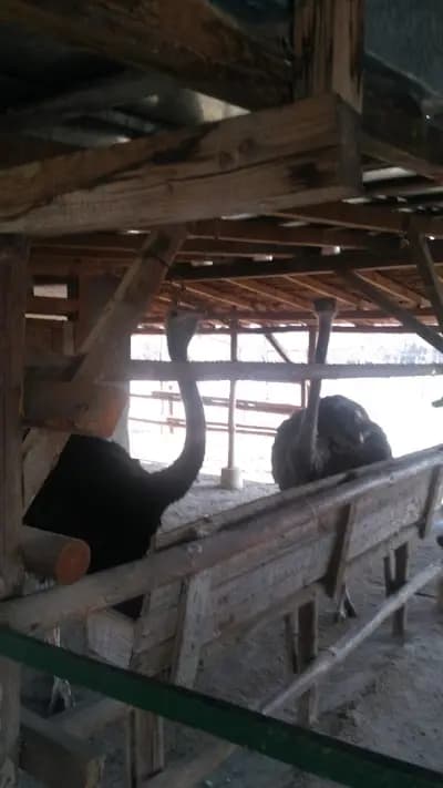 Хотел Дипломат парк