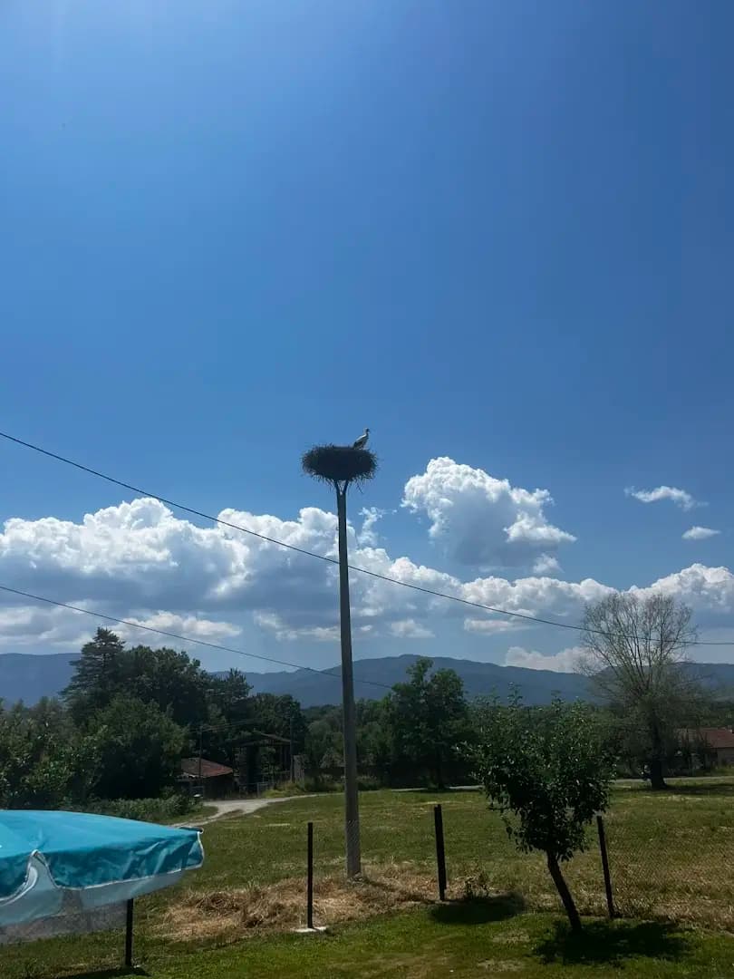 Дървената Къща