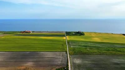Левана