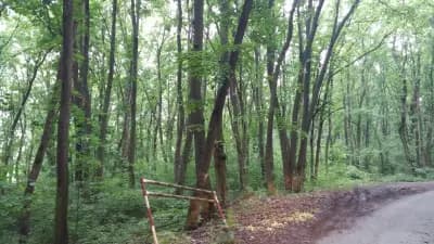Уелнес комплекс Островче