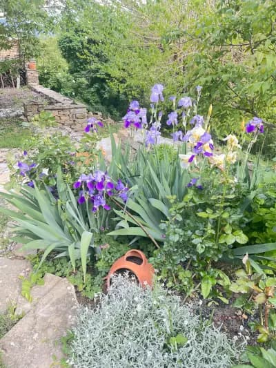 Къща за гости Трите Бора - The 3 Pines GuestHouse