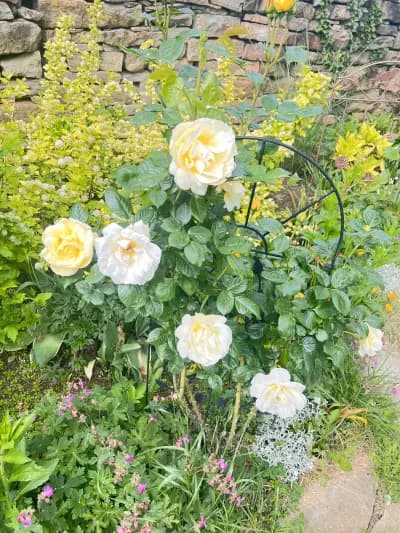 Къща за гости Трите Бора - The 3 Pines GuestHouse