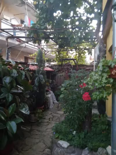 Guest House Lori