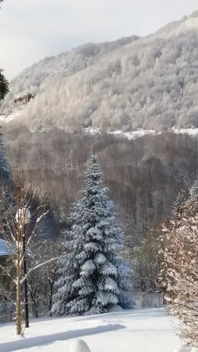 Хотел "Перфект"