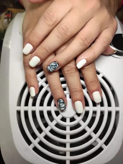 Beauty Studio Bella Donna