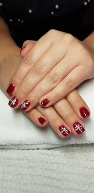 Beauty Studio Bella Donna