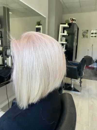 The salon hair & more