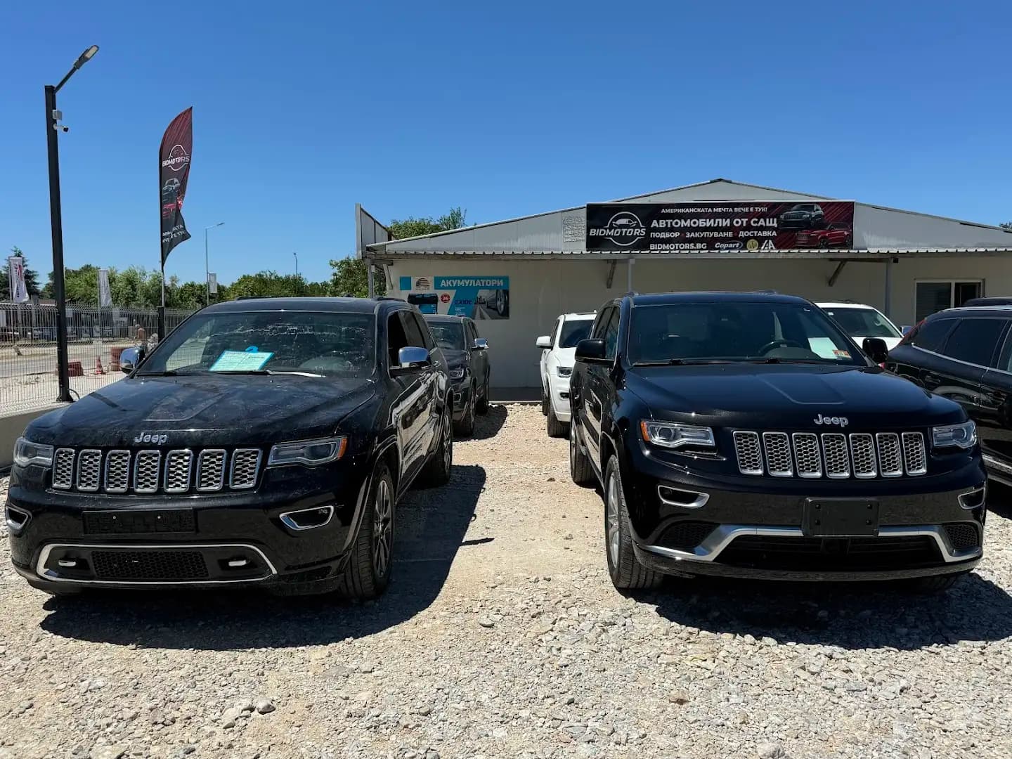Bidmotors