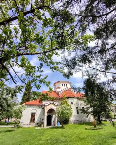 Алекс Петков - фотограф