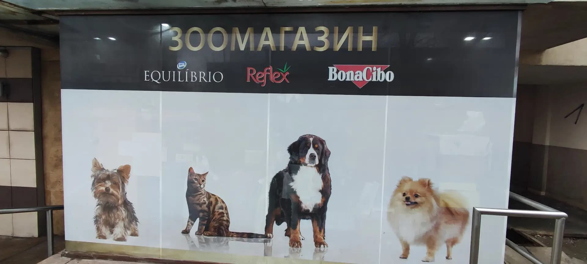Зоомагазин