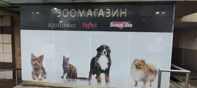 Зоомагазин