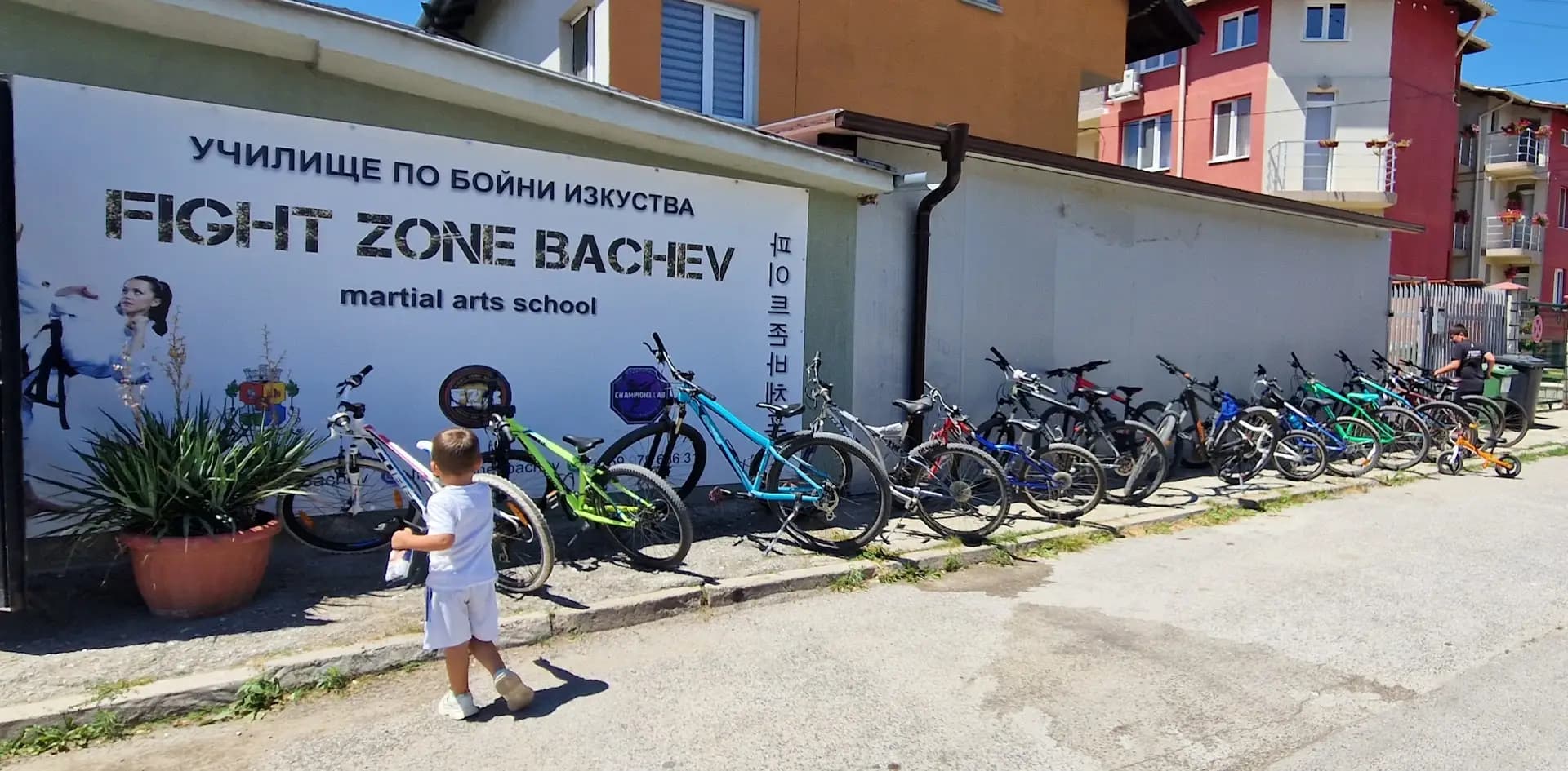 Fight Zone Bachev