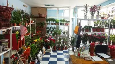 Цветарски магазин ЕЛИЯ
