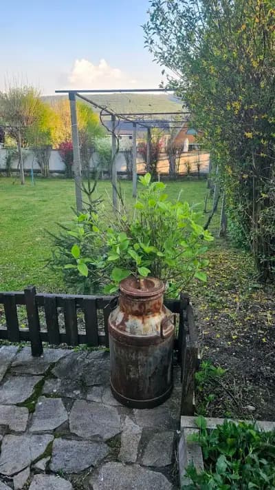 Вила Индия