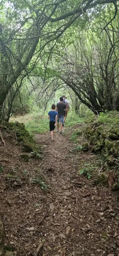 Комплекс Асеневци Царева Ливада
