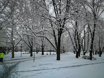 КМЕТСТВО ГАБРОВНИЦА