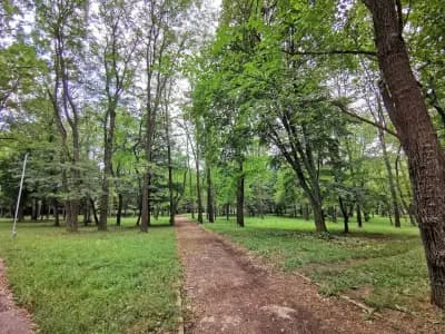 Градски парк Разград