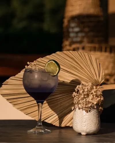 NOA Bar & Brunch