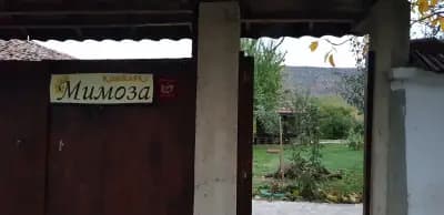 Комплекс Мимоза