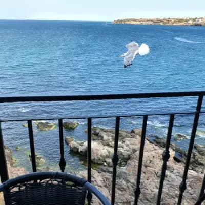 sea ​​view apartment Sozopol