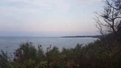 Sea Garden